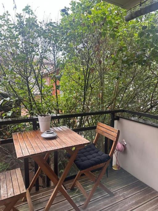 圖盧茲Jardin Des Plantes Parking Securise Terrasse Et Ascenseur公寓 外观 照片