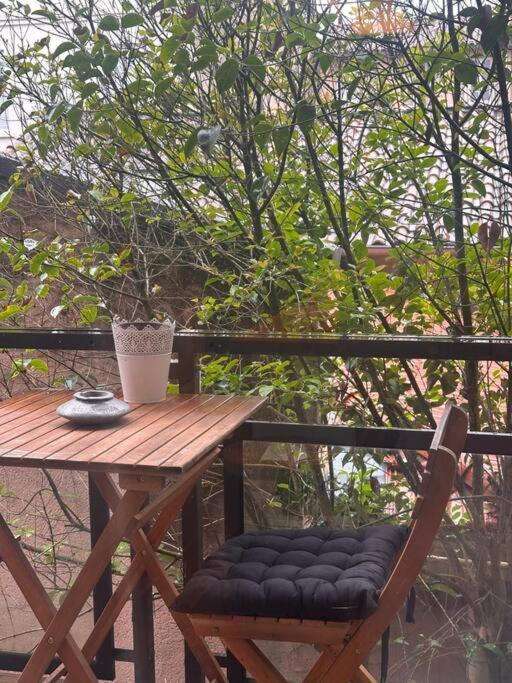 圖盧茲Jardin Des Plantes Parking Securise Terrasse Et Ascenseur公寓 外观 照片