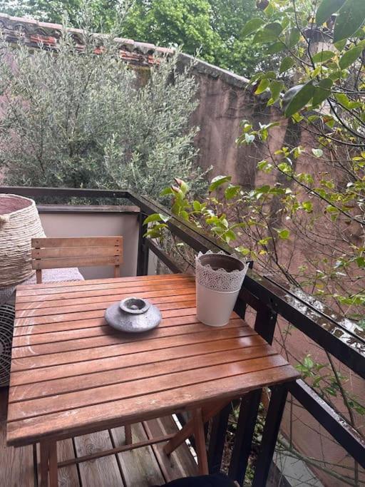圖盧茲Jardin Des Plantes Parking Securise Terrasse Et Ascenseur公寓 外观 照片
